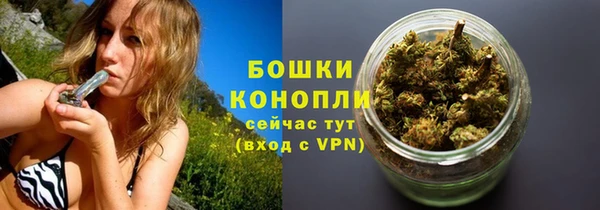 сатива Балахна
