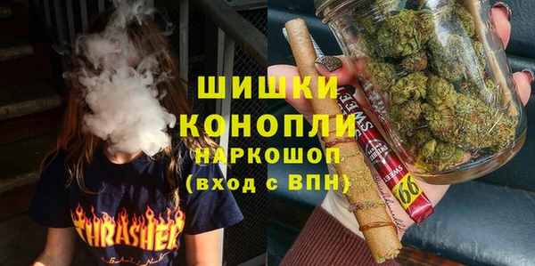 сатива Балахна