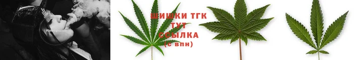 сатива Балахна