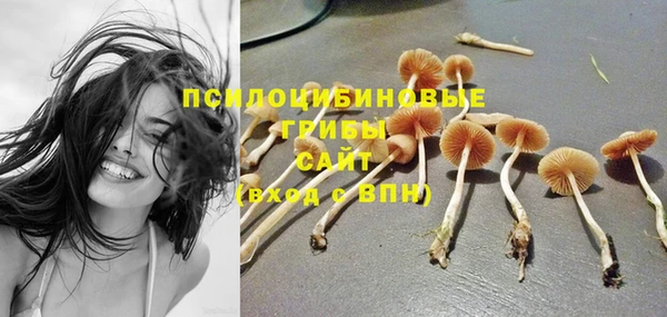 МДМА Белокуриха