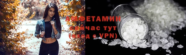 сатива Балахна